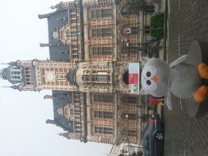 Owly in Antwerpen 7