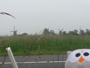 Windmühlen an der Tanke, 20 min vor Amsterdam