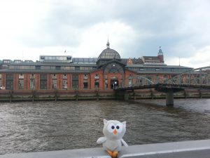 Owly in Hamburg 7