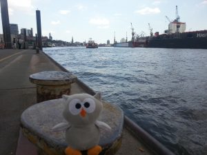 Owly in Hamburg 9