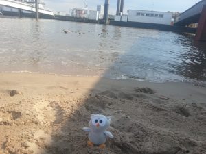 Owly in Hamburg 10