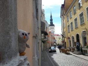 Owly in Tallinn 6